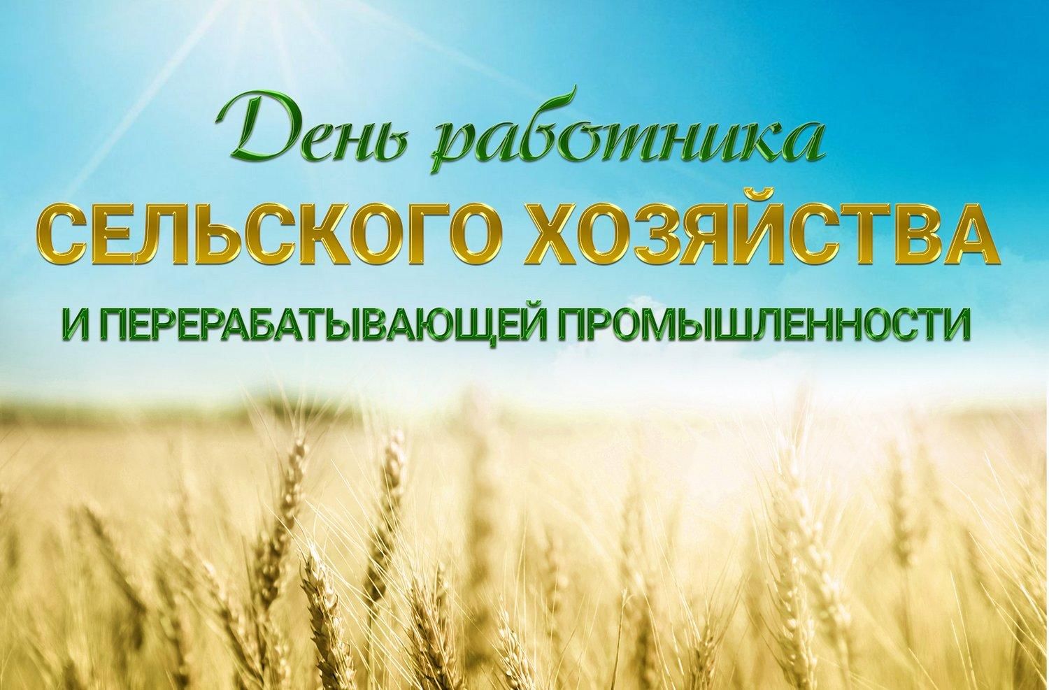 13 октября – День работников сельского хозяйства и перерабатывающей промышленности.