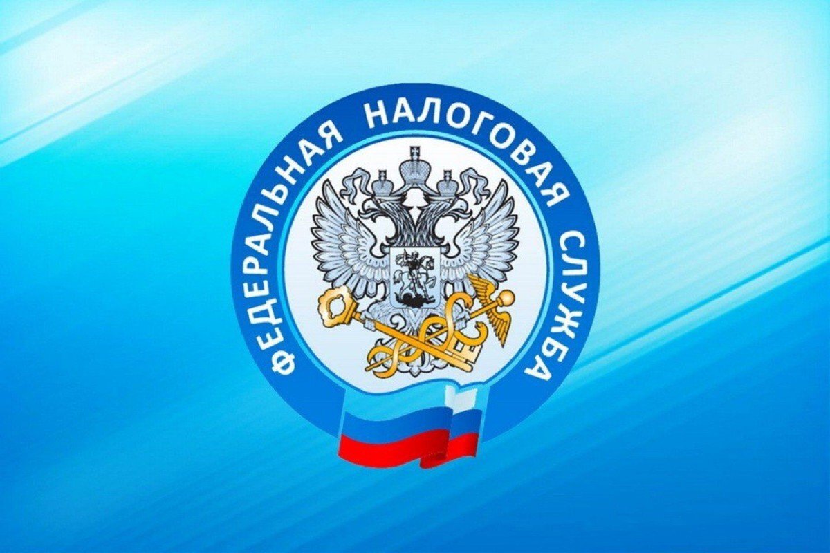 Чат-бот Налоговой службы поможет определиться, нужно ли подавать декларацию 3-НДФЛ.