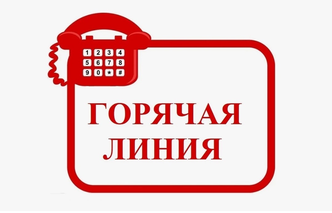 Горячая линия.