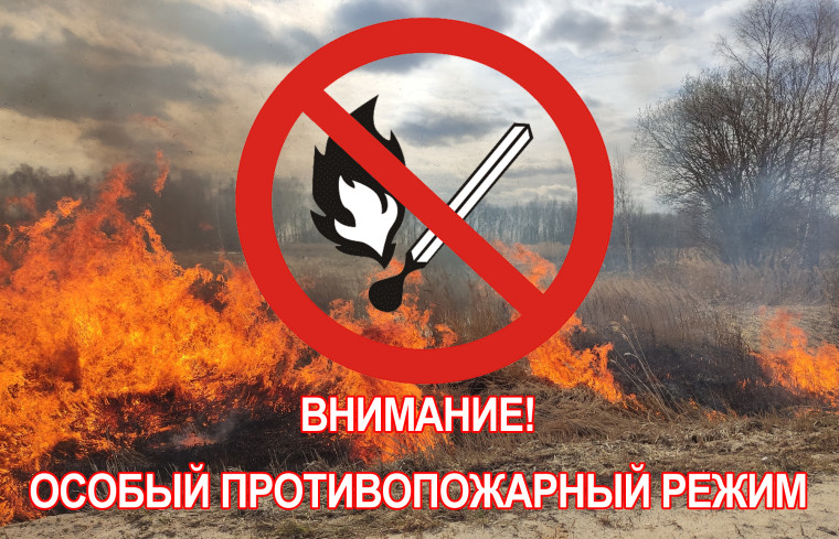 Об установлении особого противопожарного режима на территории Томской области. Об установлении особого противопожарного режима на территории Томской области.