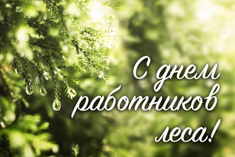 15 сентября - День работников леса. 15 сентября - День работников леса.
